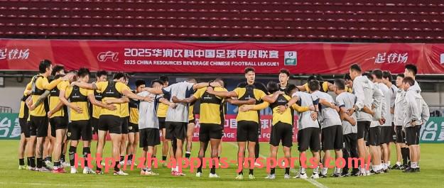 江南体育APP-范佩西被评为英超最佳球员的经典赛季回顾